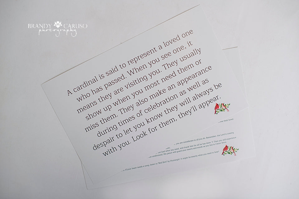 Cardinal qoutes for sympathy gift box 